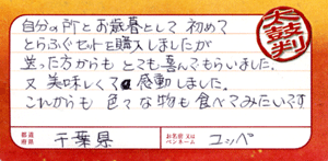 とらふぐ刺身大皿セット9